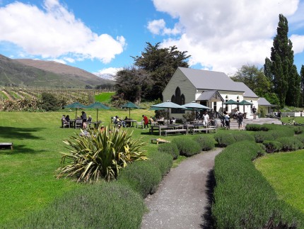 Cargo Brewery at Gibbston