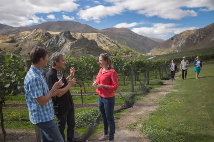 qwt_chard_farm-56